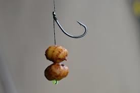 Monturi de pescuit